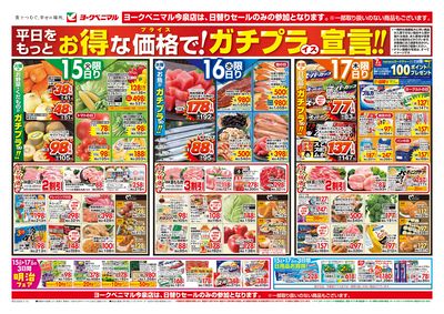 7/15号 オモテ