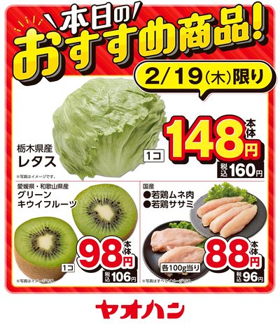 本日のおすすめ商品!