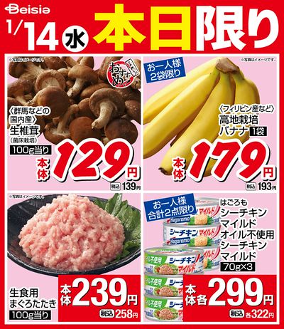 1/14限りのお買い得!