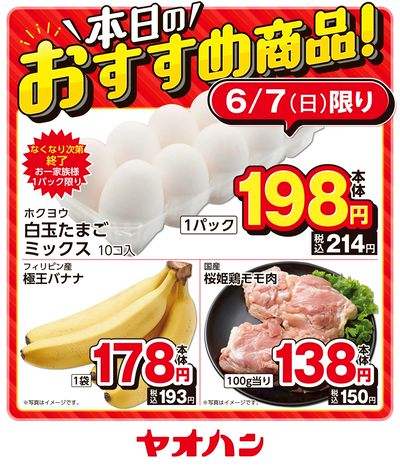 本日のおすすめ商品!