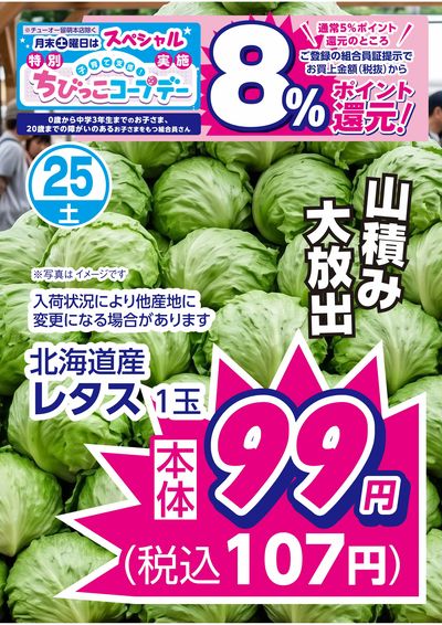 7/25限りのお買得品 この企画見逃さないで!!