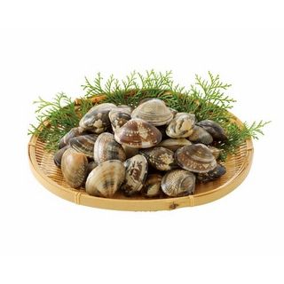 中国産殻付きあさり