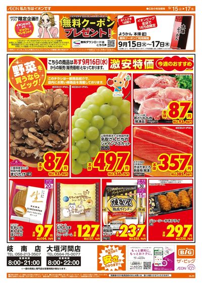 9/15週中チラシ(オモテ)