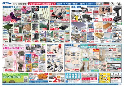 コメリパワー 3/7号 決算市 ウラ
