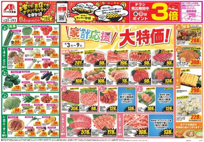 6月3日開始チラシ:表