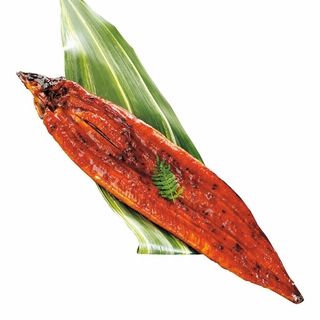 鹿児島産 霧島湧水うなぎ蒲焼 1尾(約155g)