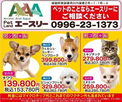 ワンちゃんネコちゃんのご案内