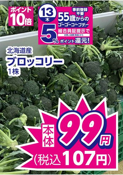 8/13限りのお買得品 この企画見逃さないで!!