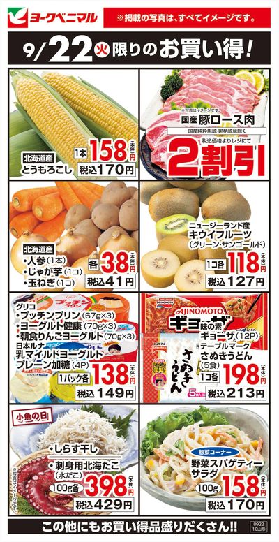 9/22限りのお買い得!