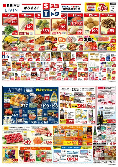 1107スゴ・トクチラシ