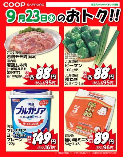 9月23日お買得品