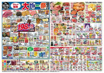 0915号-茨城裏