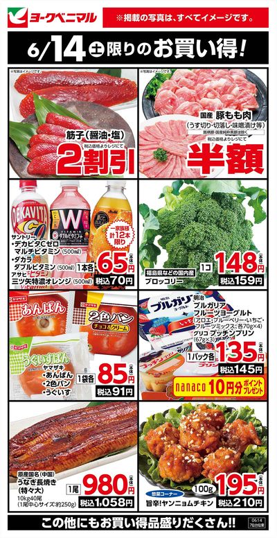 6/14限りのお買い得!