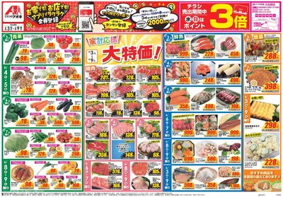 6月3日開始チラシ:表