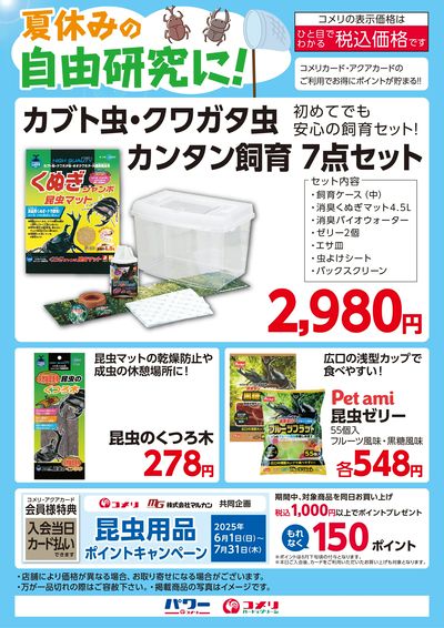 夏休みの自由研究に!