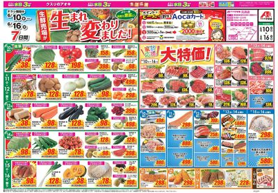6月10日開始チラシ:表