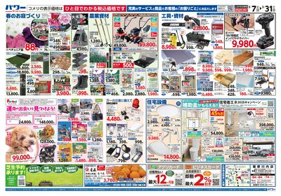 コメリパワー 3/7号 決算市 ウラ
