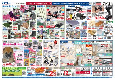 コメリパワー 3/7号 決算市 ウラ