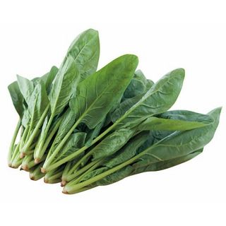 茨城県産他ほうれん草