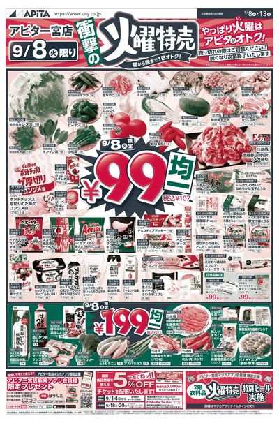 9月8日(火)~9月13日(日)