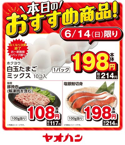 本日のおすすめ商品!