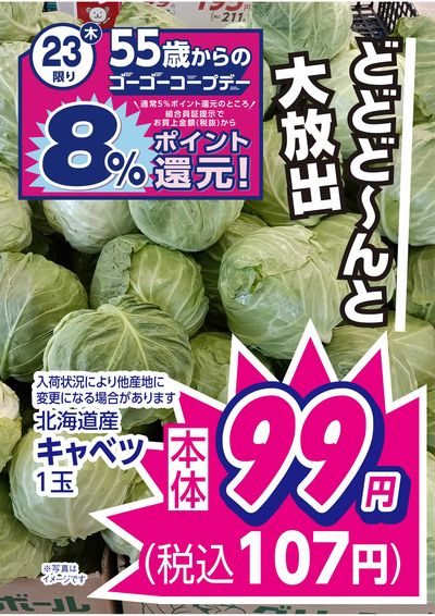 7/23限り 北海道産キャベツがお買得品 この企画見逃さないで