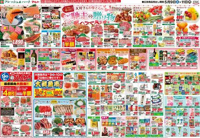 0509号-茨城裏