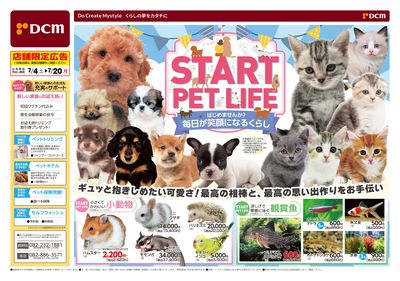 START PET LIFE