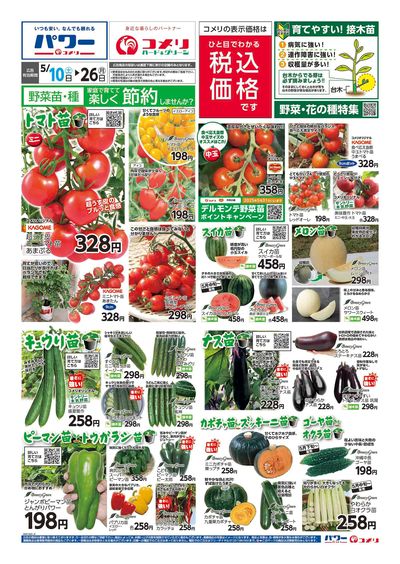 野菜苗チラシ オモテ