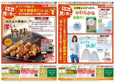 今月の見て見て