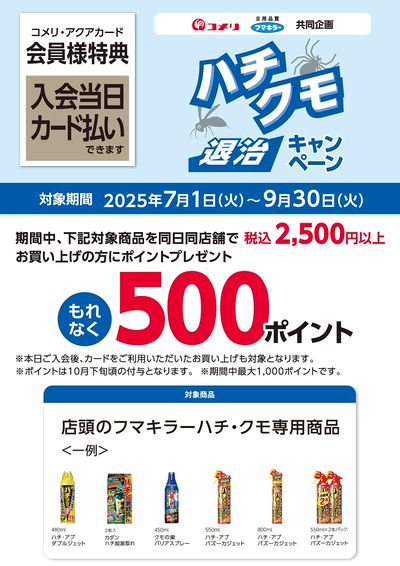 フマキラー ハチクモ退治キャンペーン
