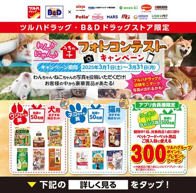 わん♪にゃん♪うちの子フォトコンテストキャンペーン