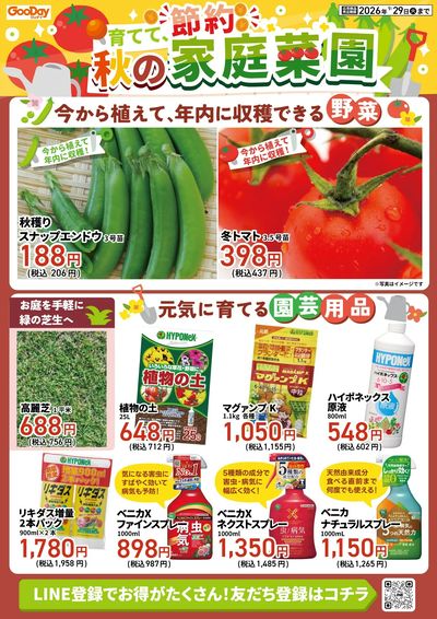 育てて、節約 秋の家庭菜園