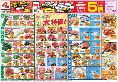 6月17日開始チラシ:表