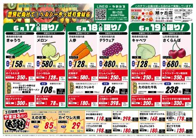 旭ヶ丘_表面20250617~20250622