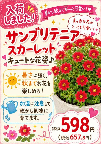 ムサシ須坂店おススメ情報!