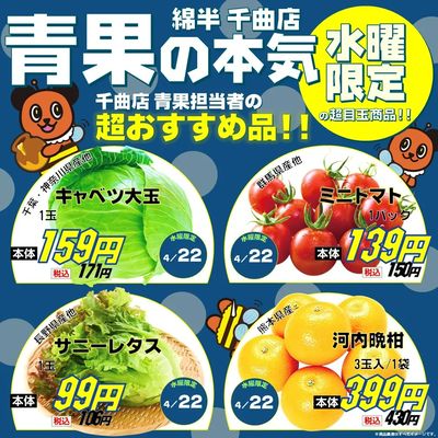 【水曜限定】青果の本気おすすめ品