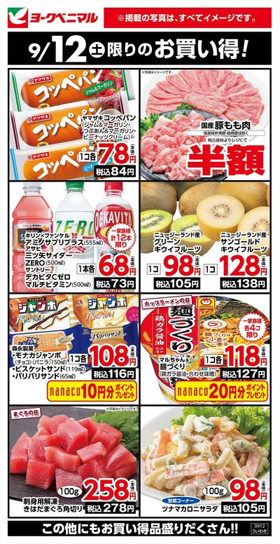 9/12限りのお買い得!
