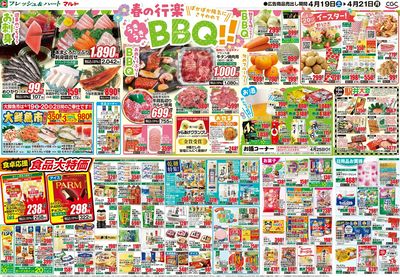 0419号-茨城裏