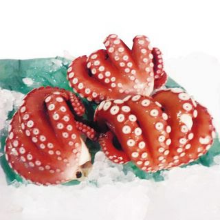 蒸しだこ(やなぎだこ)