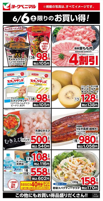 6/6限りのお買い得!