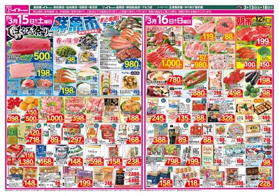 3/15号 おもて