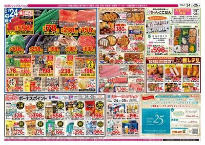 1/24号 カメさんデー:オモテ
