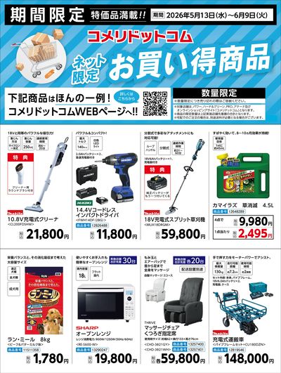 〈ネット限定〉お買い得商品
