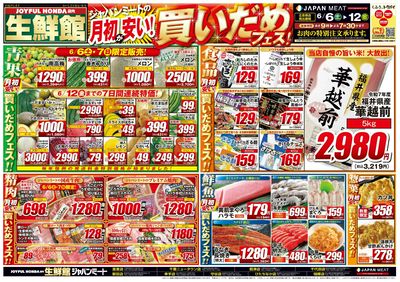 6/6号