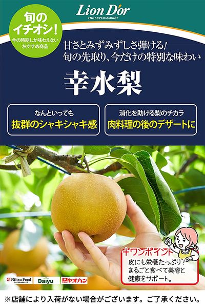 リオン・ドールのおいしさ宣言!