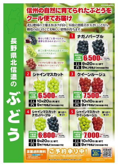 長野県北信濃のぶどう