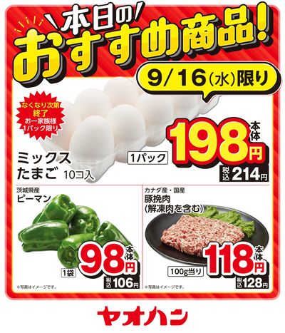 本日のおすすめ商品!