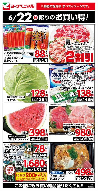 6/22限りのお買い得!