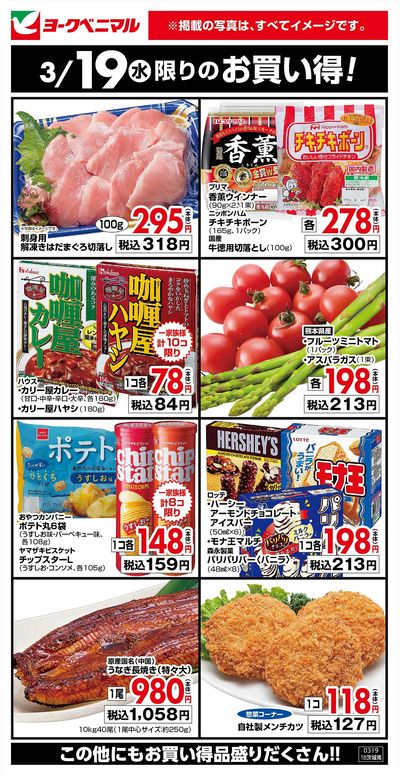 3/19限りのお買い得!